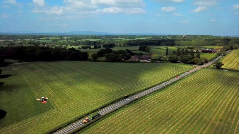 bookham harrison farm